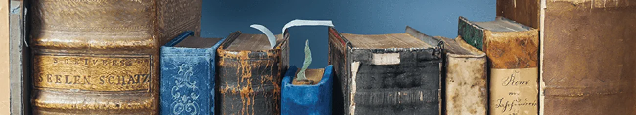 Banner_Bibliotheksdienst